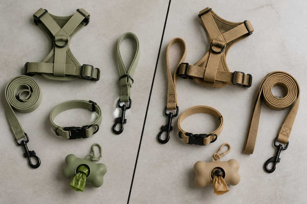 Pooch vs Wild Thread Co: Which Brand Suits Your Dog